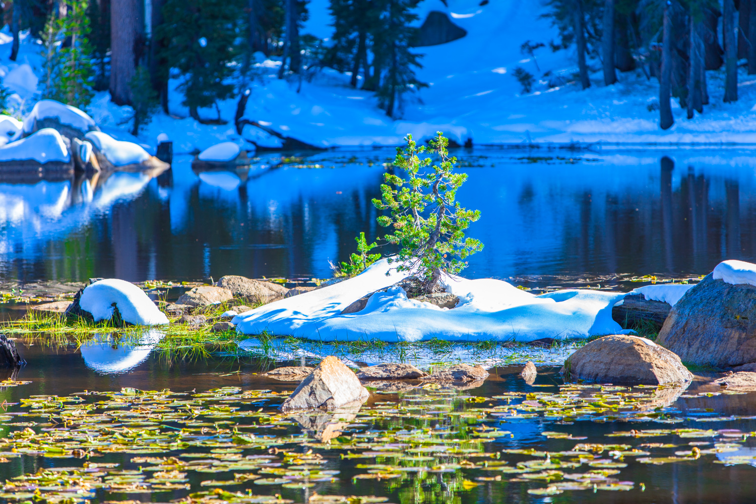http://www.skorobogatov.com/news/pics/sierra-nevada-skorobogatov-aleksandr_10.jpg