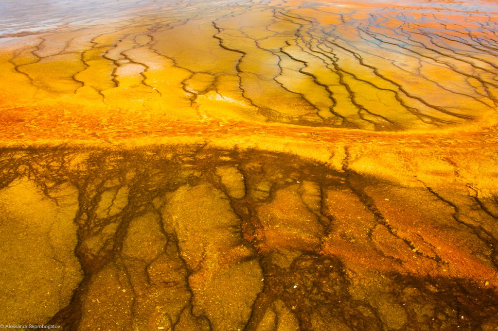 Colors of Yellowstone