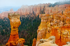 Bryce Canyon, USA. Fall. Collection No 3.