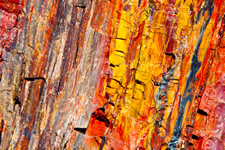 Petrified Forest National Park, Navajo and Apache counties, Arizona, USA