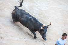 Bull runs in Arles, France