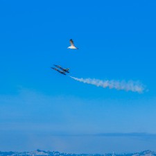 Blue Angels flyovers during Fleet Week in San Francisco